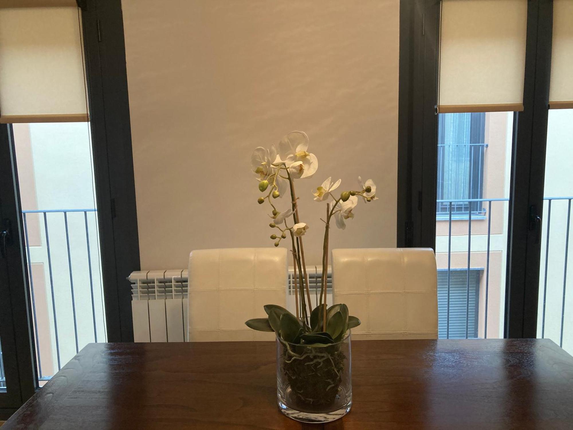 Modern & Cosy Apartment In Jaca Pyrenees Spain 外观 照片